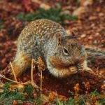 久久中文字幕乱码久久午夜 2dm7fy22